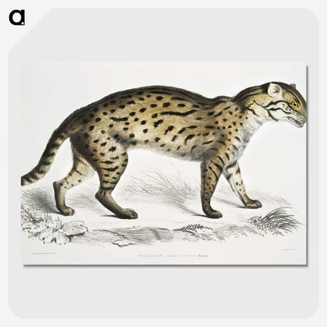 1-71_Indian-Zoology_picture-crop