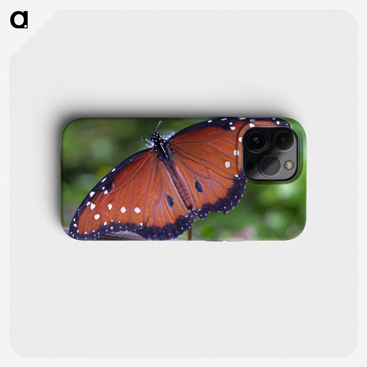 1-71_Insects-Unlocked-Project_phone