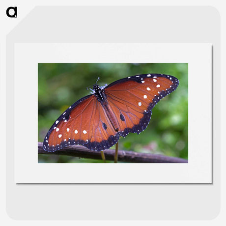 1-71_Insects-Unlocked-Project_picture