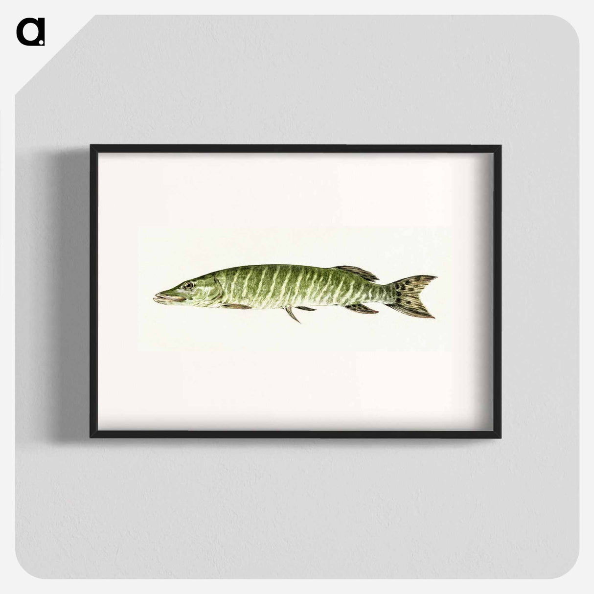 Pike - Jean Bernard Poster.