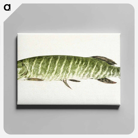 アートパネル-Pike - ジャン ベルナール Canvas.