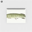 1-71_Jean-Bernard_memo
