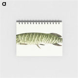 1-71_Jean-Bernard_memo