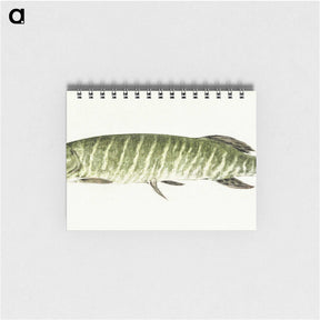 1-71_Jean-Bernard_memo