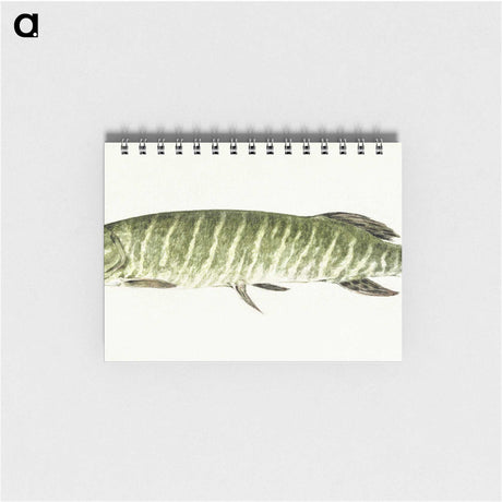 1-71_Jean-Bernard_memo