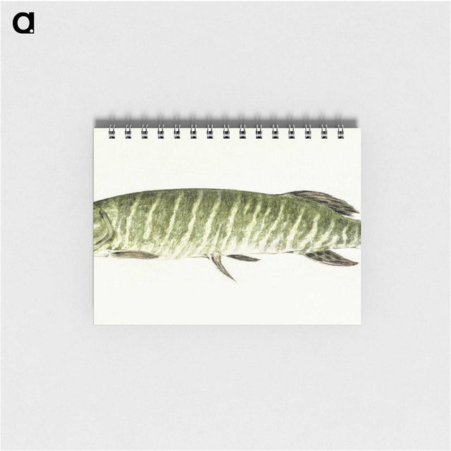 1-71_Jean-Bernard_memo