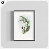 1-71_John-Gould_blk