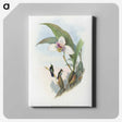 1-71_John-Gould_canvas