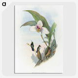 1-71_John-Gould_picture-crop
