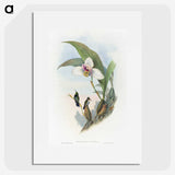 1-71_John-Gould_picture