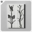 1-71_Karl-Blossfeldt_canvas