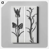 アートパネル-Stachis Grandiflora (Big Betony) enlarged 3 times and Nicotiana Rustica (Aztec Tobacco) - カール ブロスフェルト Canvas.