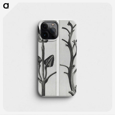 1-71_Karl-Blossfeldt_phone