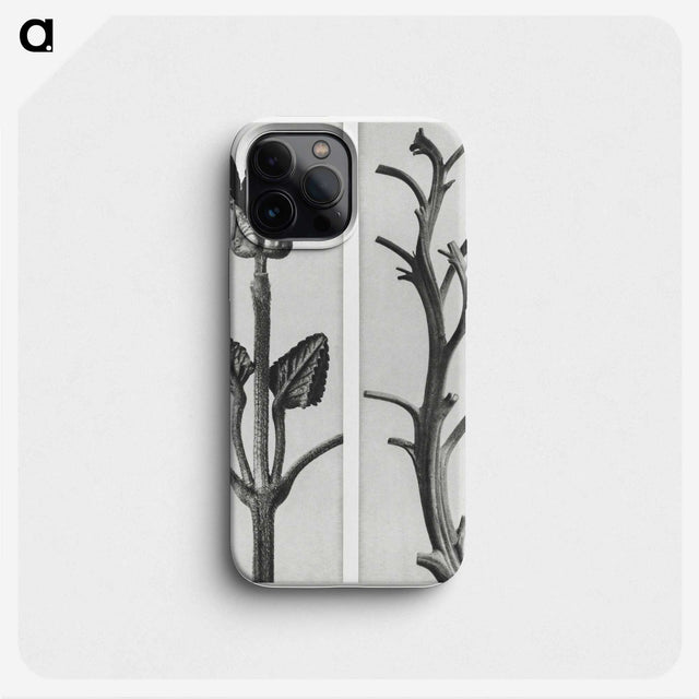1-71_Karl-Blossfeldt_phone