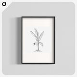 1-71_Les-Palmiers-Histoire-Iconographique_blk