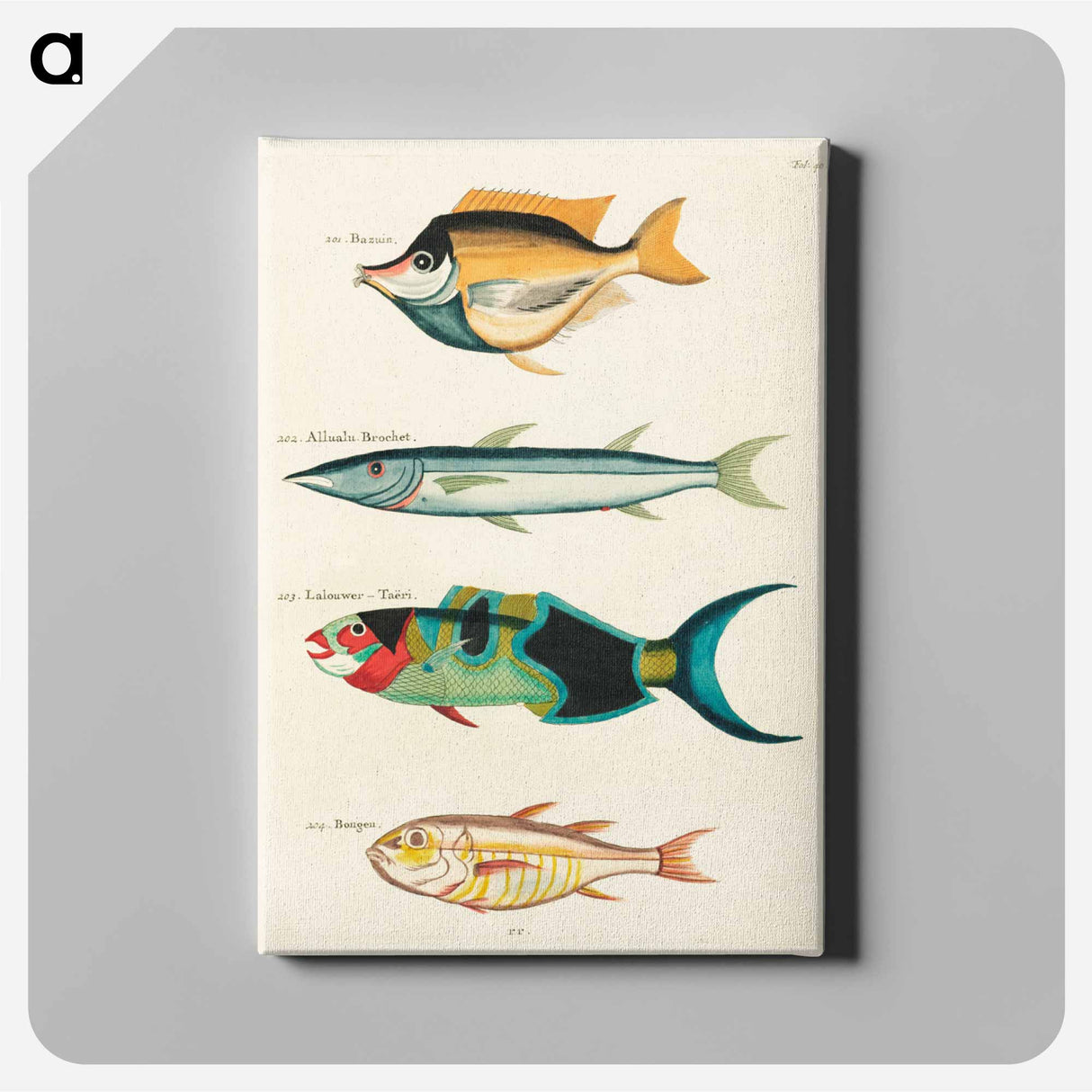 アートパネル-Moluccan Fishes
 - ルイ ルナール Canvas.