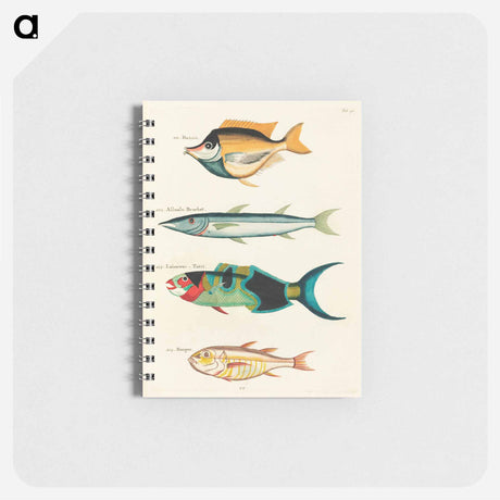 アートメモ帳-Moluccan Fishes
 - ルイ ルナール Memo.