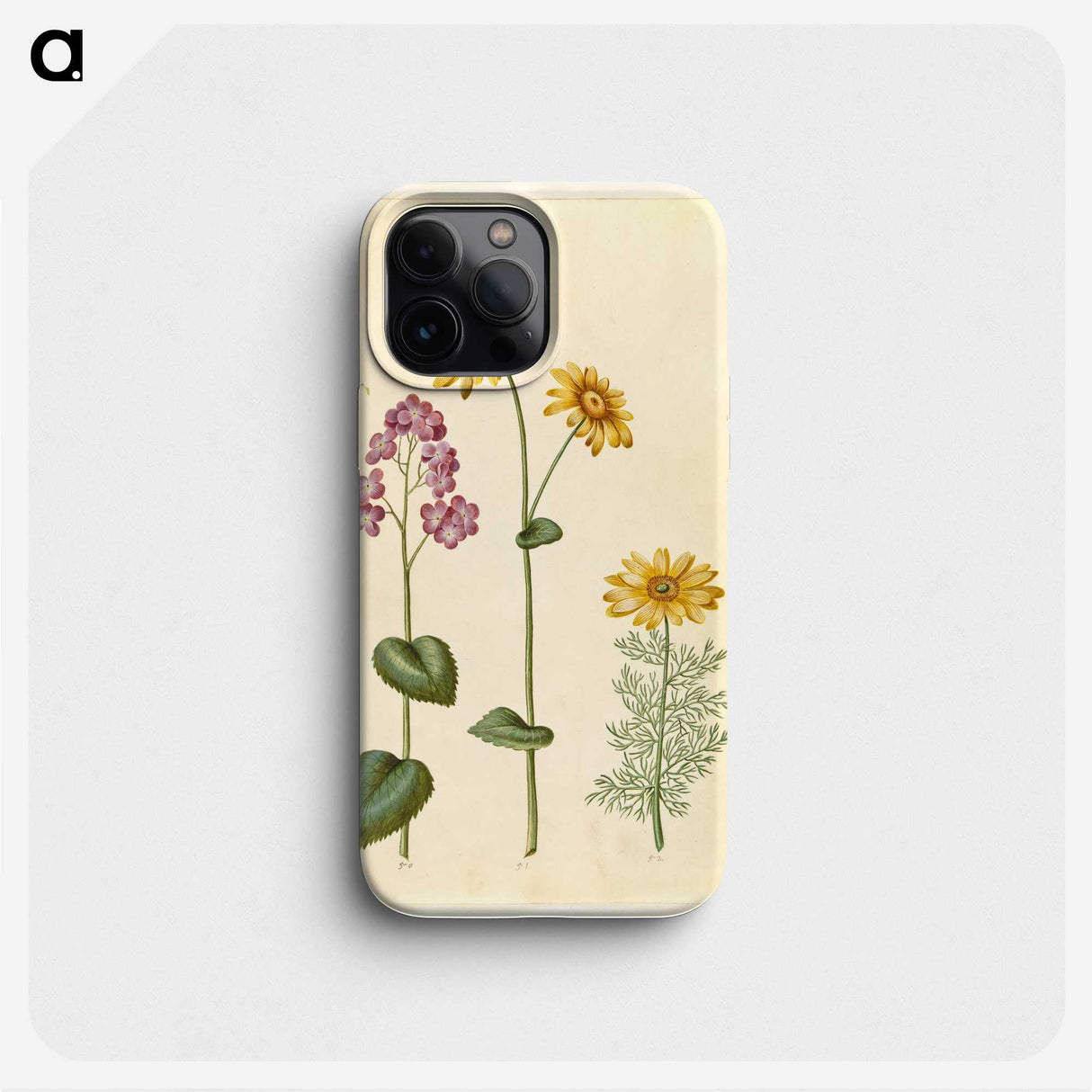 1-71_Maria-Sibylla-Merian_phone