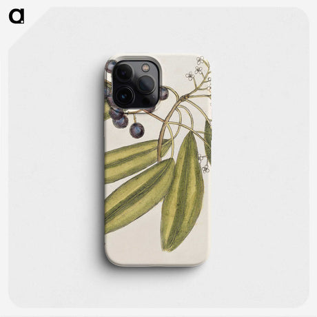 1-71_Mark-Catesby_phone