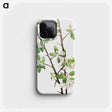 1-71_Mary-Vaux-Walcott_phone