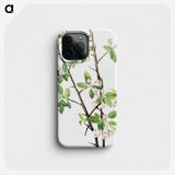 1-71_Mary-Vaux-Walcott_phone