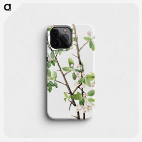 1-71_Mary-Vaux-Walcott_phone