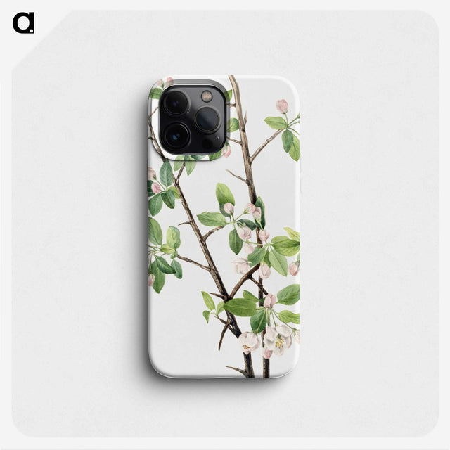 1-71_Mary-Vaux-Walcott_phone