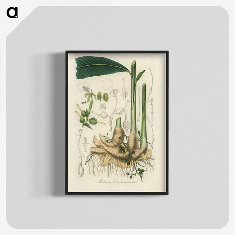 1-71_Medical-Botany_blk-crop