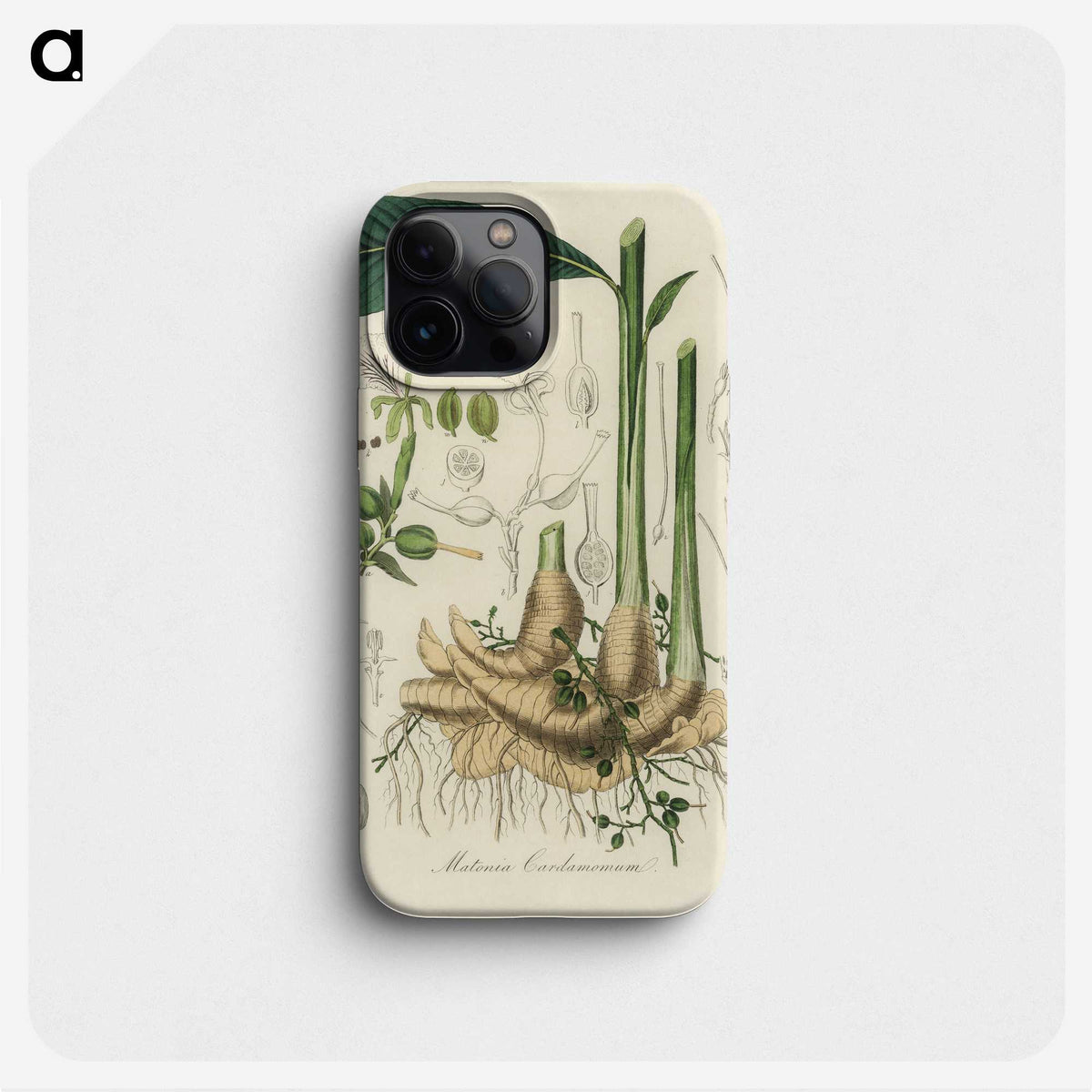 1-71_Medical-Botany_phone