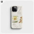 1-71_Monuments-of-Egypt-and-Nubia_phone