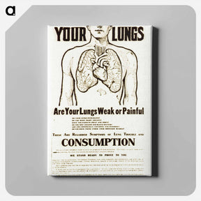 アートパネル-Anatomical Study with Advertising Text
 - 国立医学図書館 Canvas.