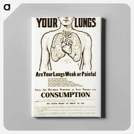 アートパネル-Anatomical Study with Advertising Text
 - 国立医学図書館 Canvas.