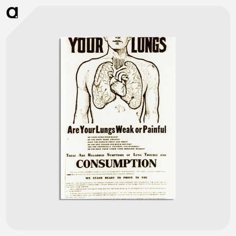 アートポストカード-Anatomical Study with Advertising Text
 - 国立医学図書館 Postcard.