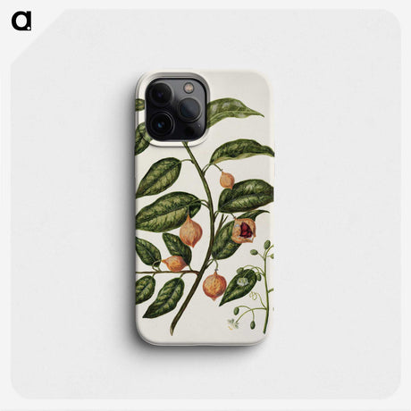 1-71_Native-Flowering-Plants-of-New-Zealand_phone