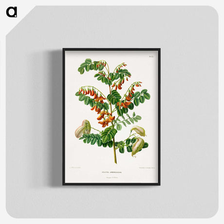 1-71_Nederlandsche-Flora-en-Pomona_blk-crop