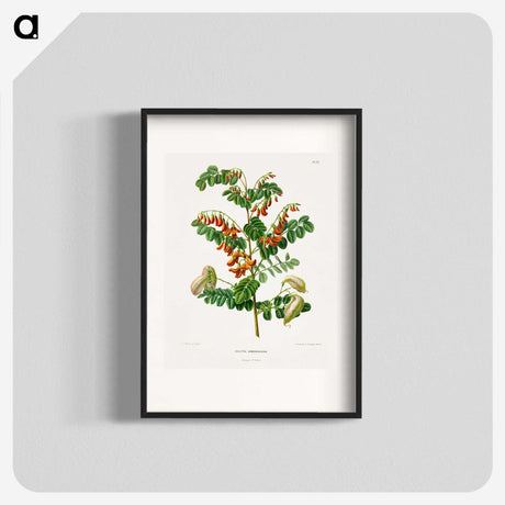 1-71_Nederlandsche-Flora-en-Pomona_blk