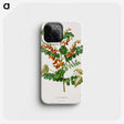 1-71_Nederlandsche-Flora-en-Pomona_phone