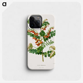 1-71_Nederlandsche-Flora-en-Pomona_phone