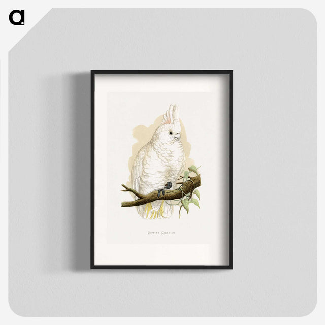 1-71_Parrots-in-Captivity_blk