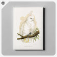1-71_Parrots-in-Captivity_canvas