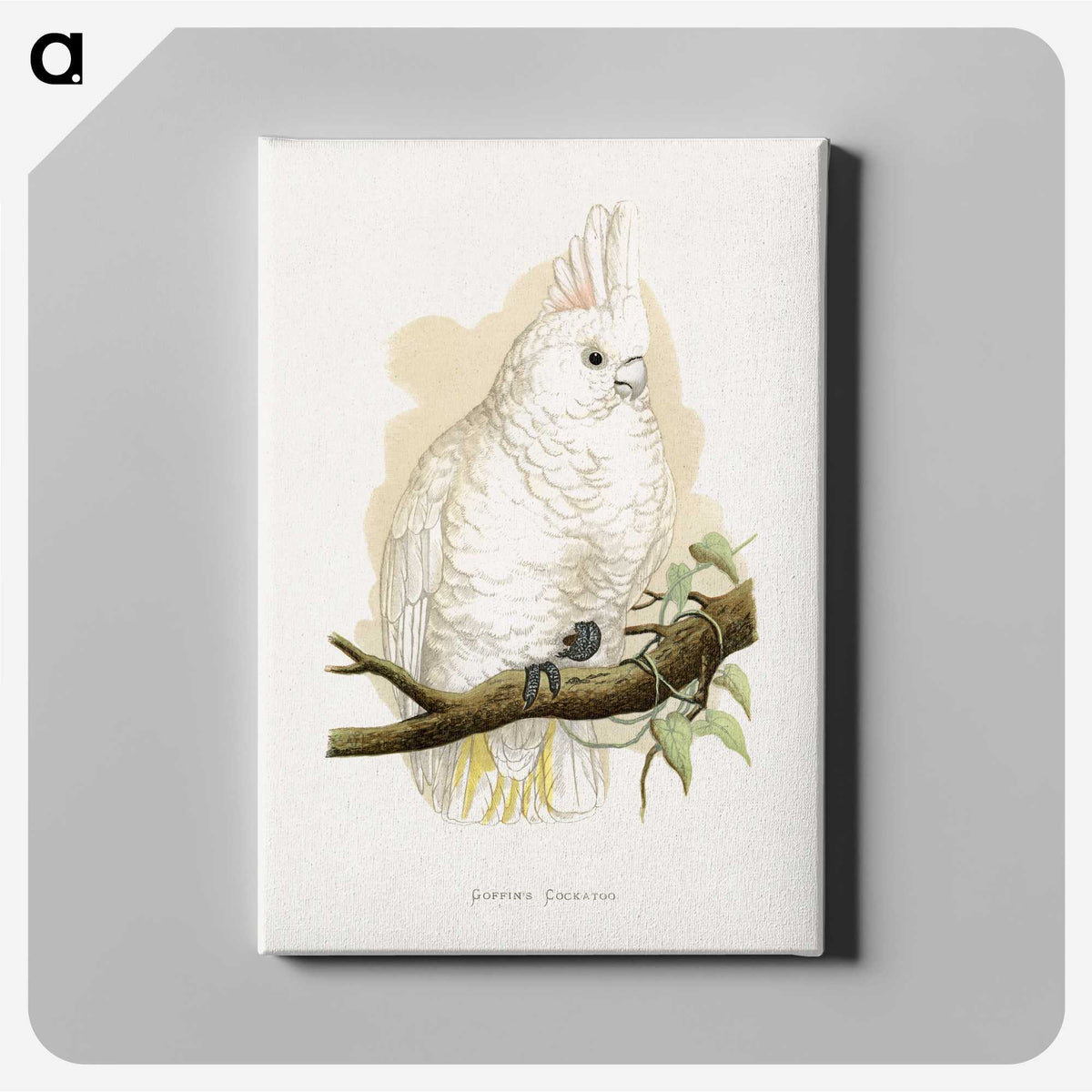 1-71_Parrots-in-Captivity_canvas