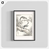 アートポスター-Japanese Willow Tit and Pine Tree
 - 鳥類図鑑 Poster.