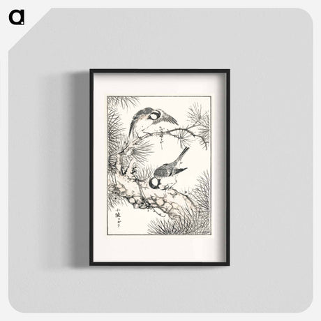 アートポスター-Japanese Willow Tit and Pine Tree
 - 鳥類図鑑 Poster.