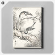 アートパネル-Japanese Willow Tit and Pine Tree
 - 鳥類図鑑 Canvas.
