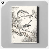 アートパネル-Japanese Willow Tit and Pine Tree
 - 鳥類図鑑 Canvas.