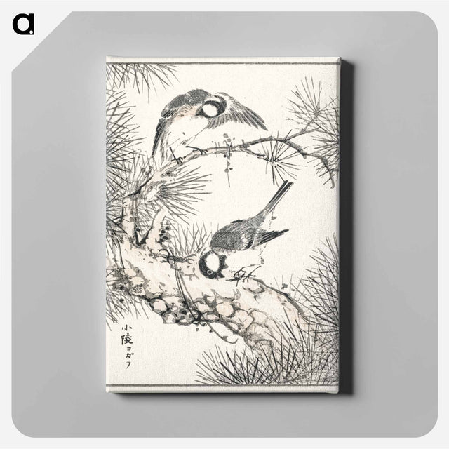 アートパネル-Japanese Willow Tit and Pine Tree
 - 鳥類図鑑 Canvas.