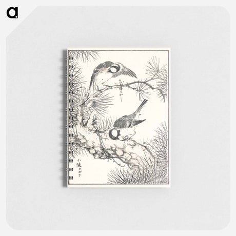 アートメモ帳-Japanese Willow Tit and Pine Tree
 - 鳥類図鑑 Memo.