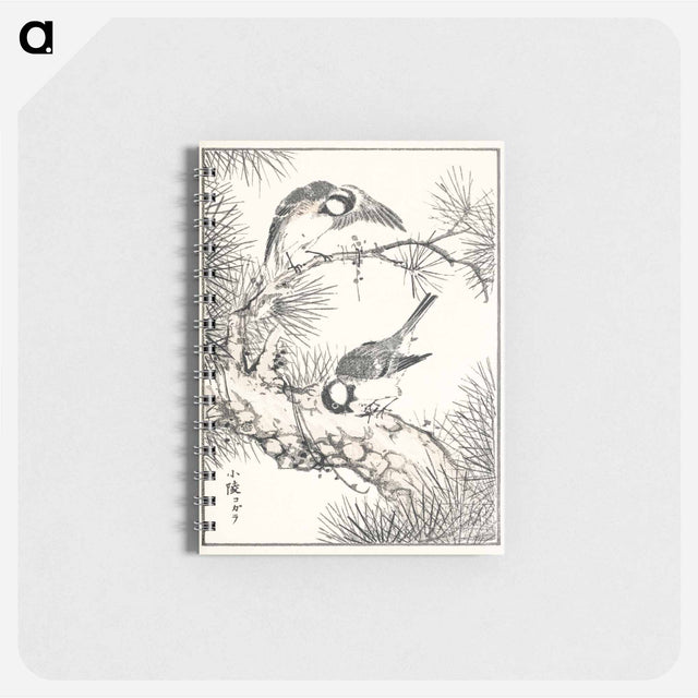 アートメモ帳-Japanese Willow Tit and Pine Tree
 - 鳥類図鑑 Memo.