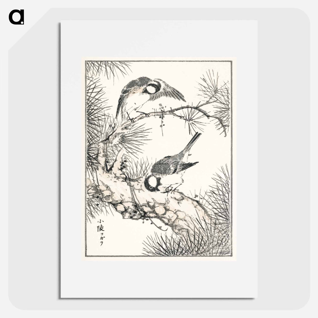 アートポスター-Japanese Willow Tit and Pine Tree
 - 鳥類図鑑 Poster.