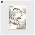 アートポストカード-Japanese Willow Tit and Pine Tree
 - 鳥類図鑑 Postcard.
